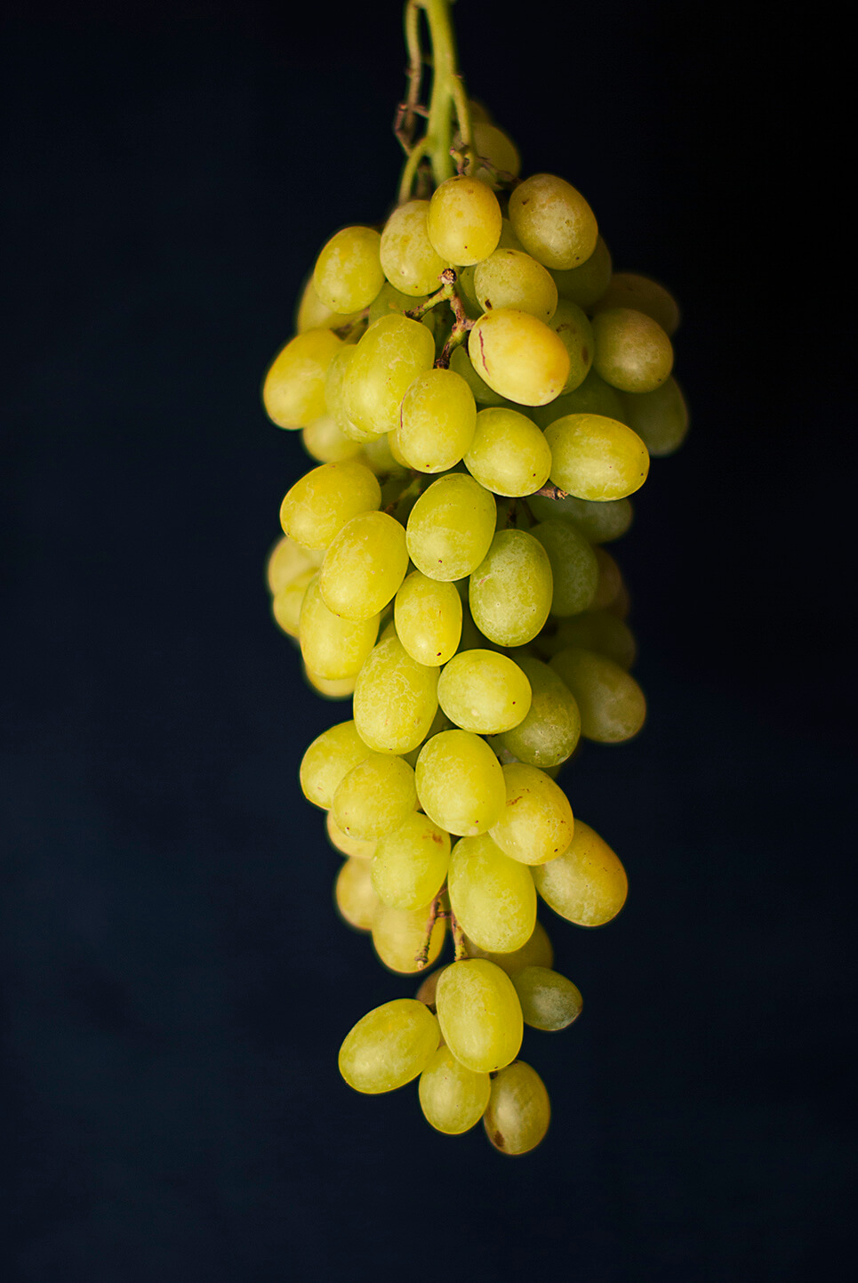 Alt Grapes